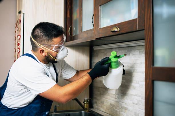 Best Pest Control for Homes  in Marshall, VA