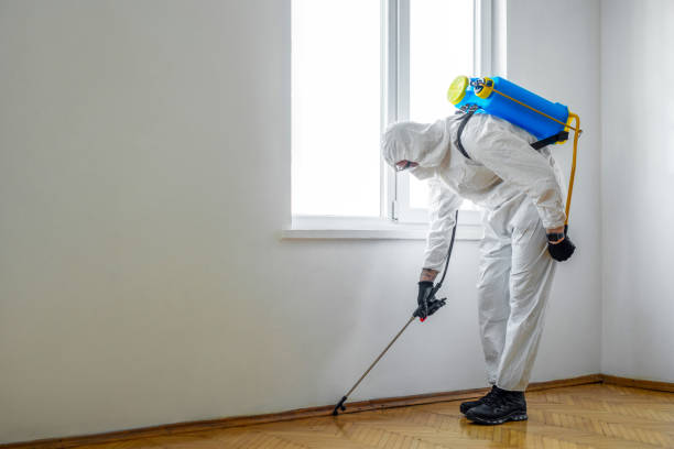 Best Emergency Pest Control  in Marshall, VA
