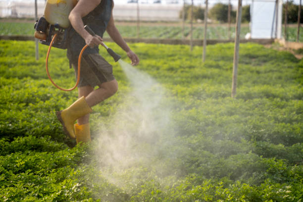 Best Affordable Pest Control Services  in Marshall, VA