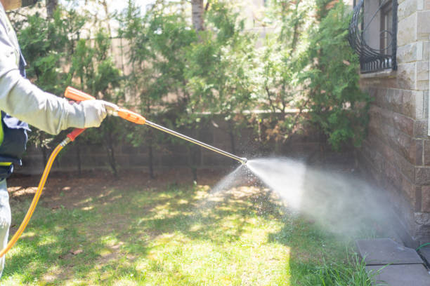 Bird Control in Marshall, VA