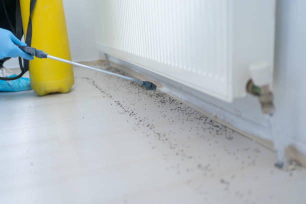 Best Pest Control Treatment  in Marshall, VA